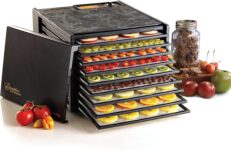 Top 10 Best Dehydrators 2026