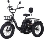 Top 10 Best Tricycles 2026